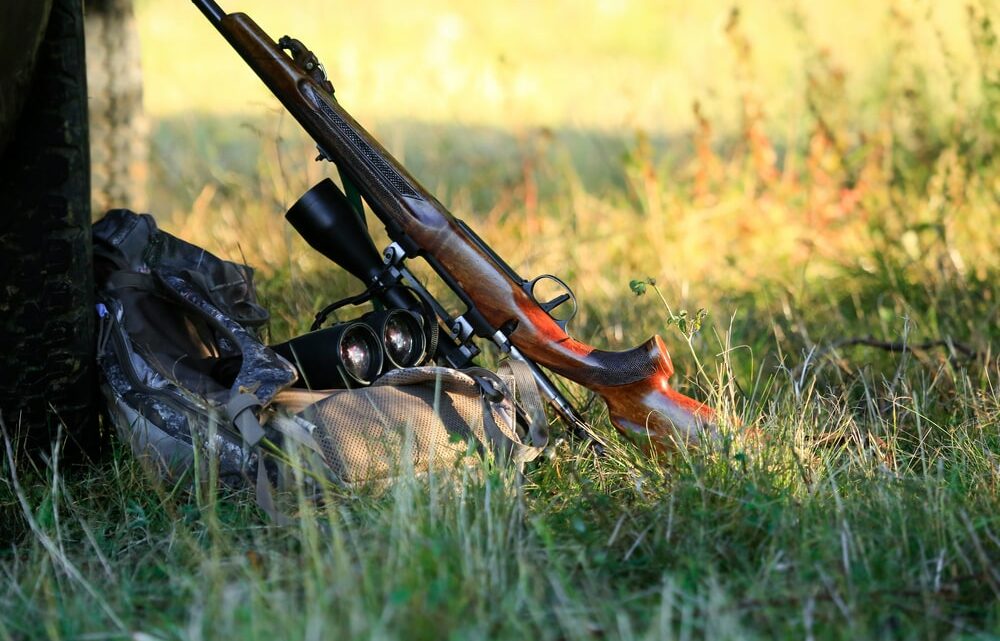 Comment choisir la carabine idéale pour la chasse à l’approche ?