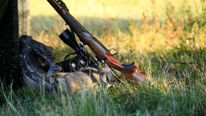 Comment choisir la carabine idéale pour la chasse à l’approche ?